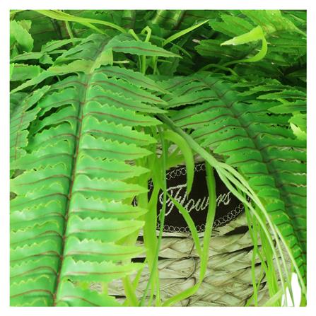 กระเช้าเฟิร์นประดิษฐ์ WACH 15_1