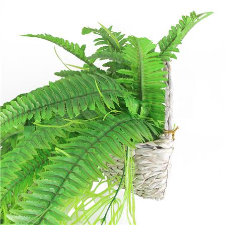 กระเช้าเฟิร์นประดิษฐ์ WACH 15_3