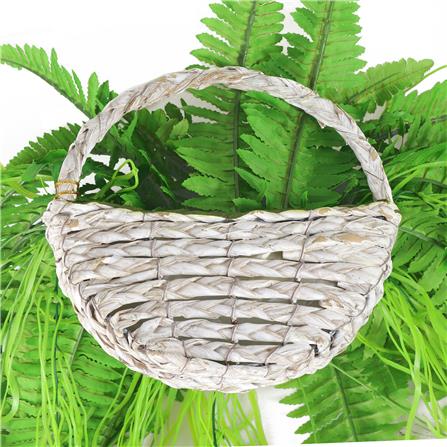 กระเช้าเฟิร์นประดิษฐ์ WACH 15_4