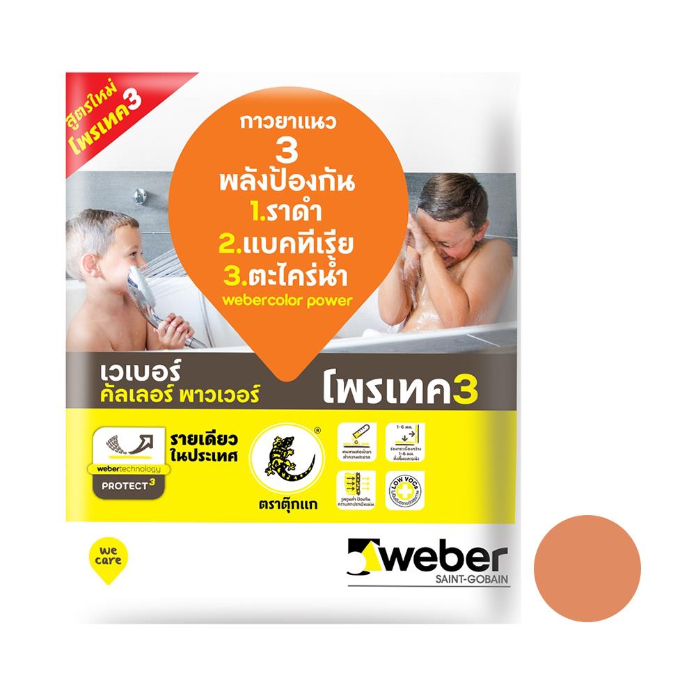 กาวยาแนว คัลเลอร์ พาวเวอร์ น้ำตาล แซนด์ 1 กก.