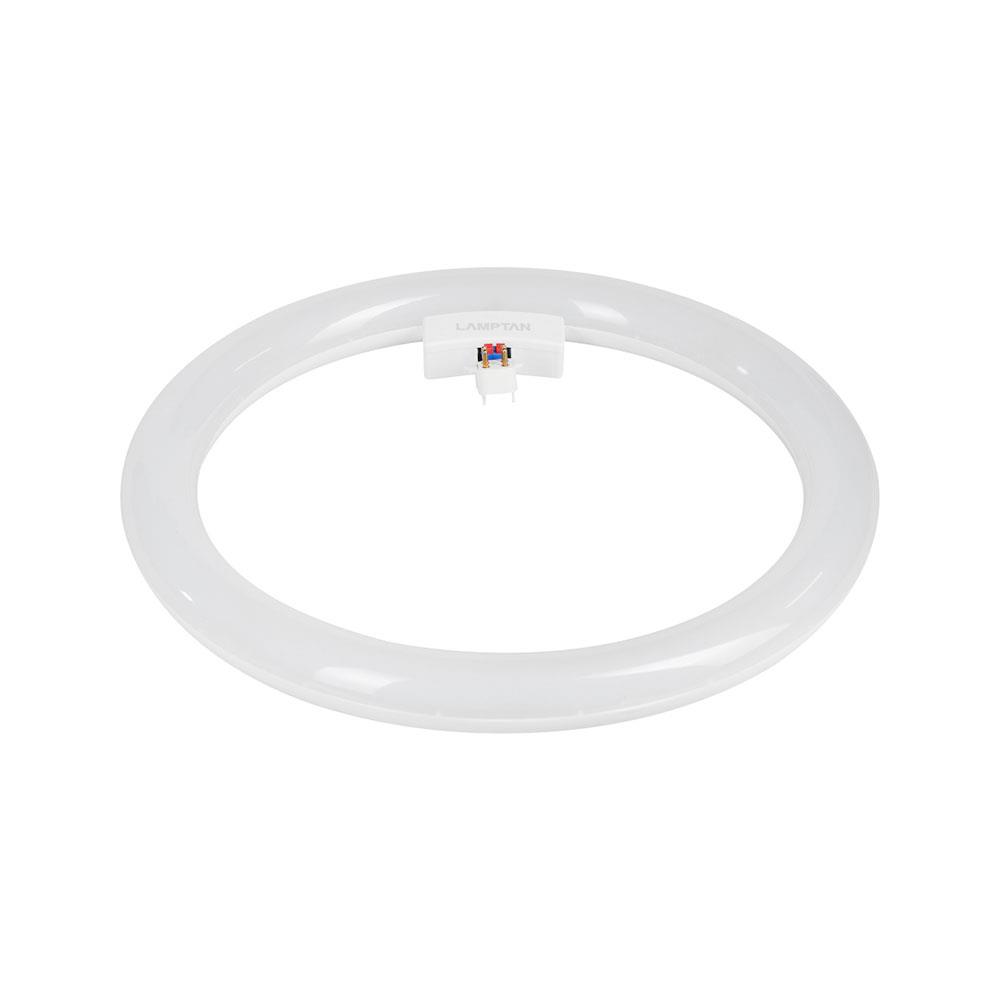 หลอด LED LAMTAN Module Circular 33 วัตต์ DAYLIGHT G10q