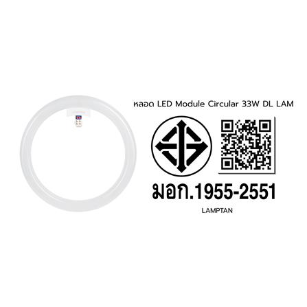 หลอด LED LAMTAN Module Circular 33 วัตต์ DAYLIGHT G10q_5
