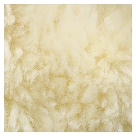 เครื่องขัดสีรถยนต์ PUMPKIN J-PL228 7 นิ้ว 1050 วัตต์_4