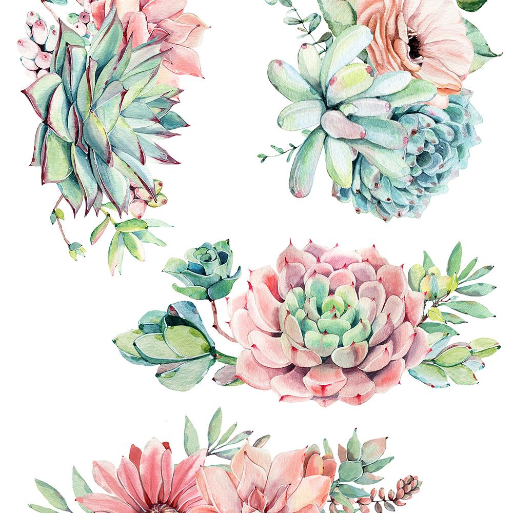 สติ๊กเกอร์ลอกน้ำ DIY HOME LIVING STYLE SUCCULENT 34X47 ซม.