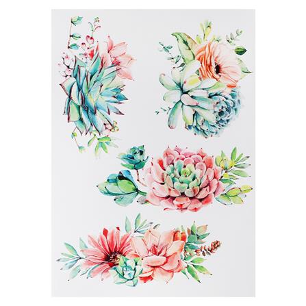 สติ๊กเกอร์ลอกน้ำ DIY HOME LIVING STYLE SUCCULENT 34X47 ซม._0