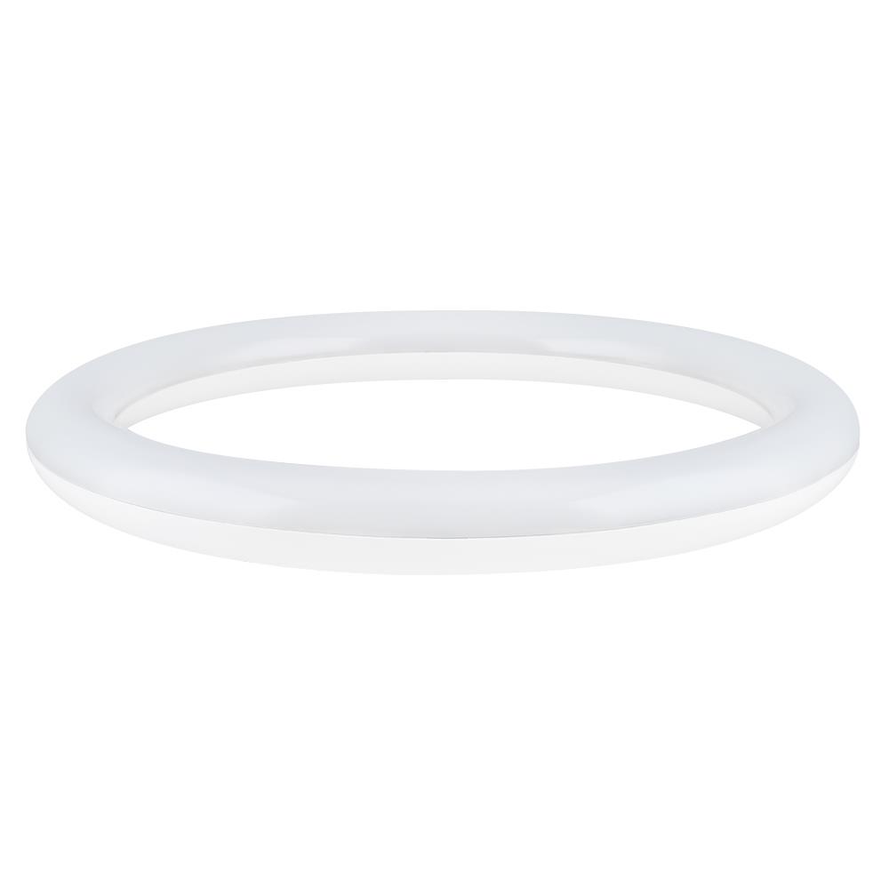 หลอด LED PHILIPS Circular 20 วัตต์ COOLDAYLIGHT G10q