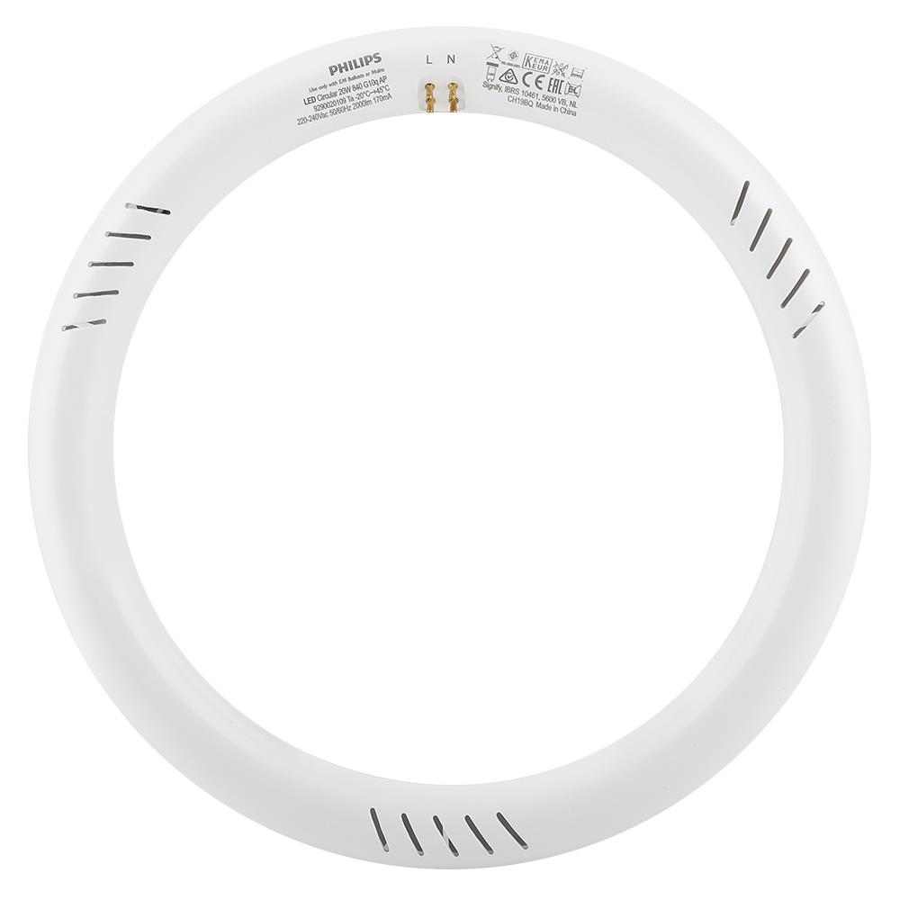 หลอด LED PHILIPS Circular 20 วัตต์ COOLDAYLIGHT G10q