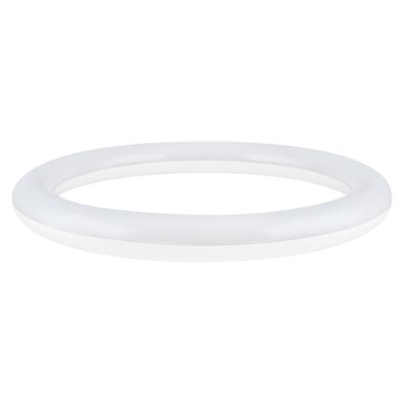 หลอด LED PHILIPS Circular 20 วัตต์ COOLDAYLIGHT G10q_1