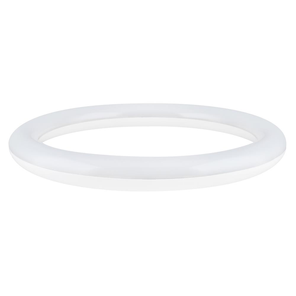 หลอด LED PHILIPS Circular 20 วัตต์ COOLWHITE G10q