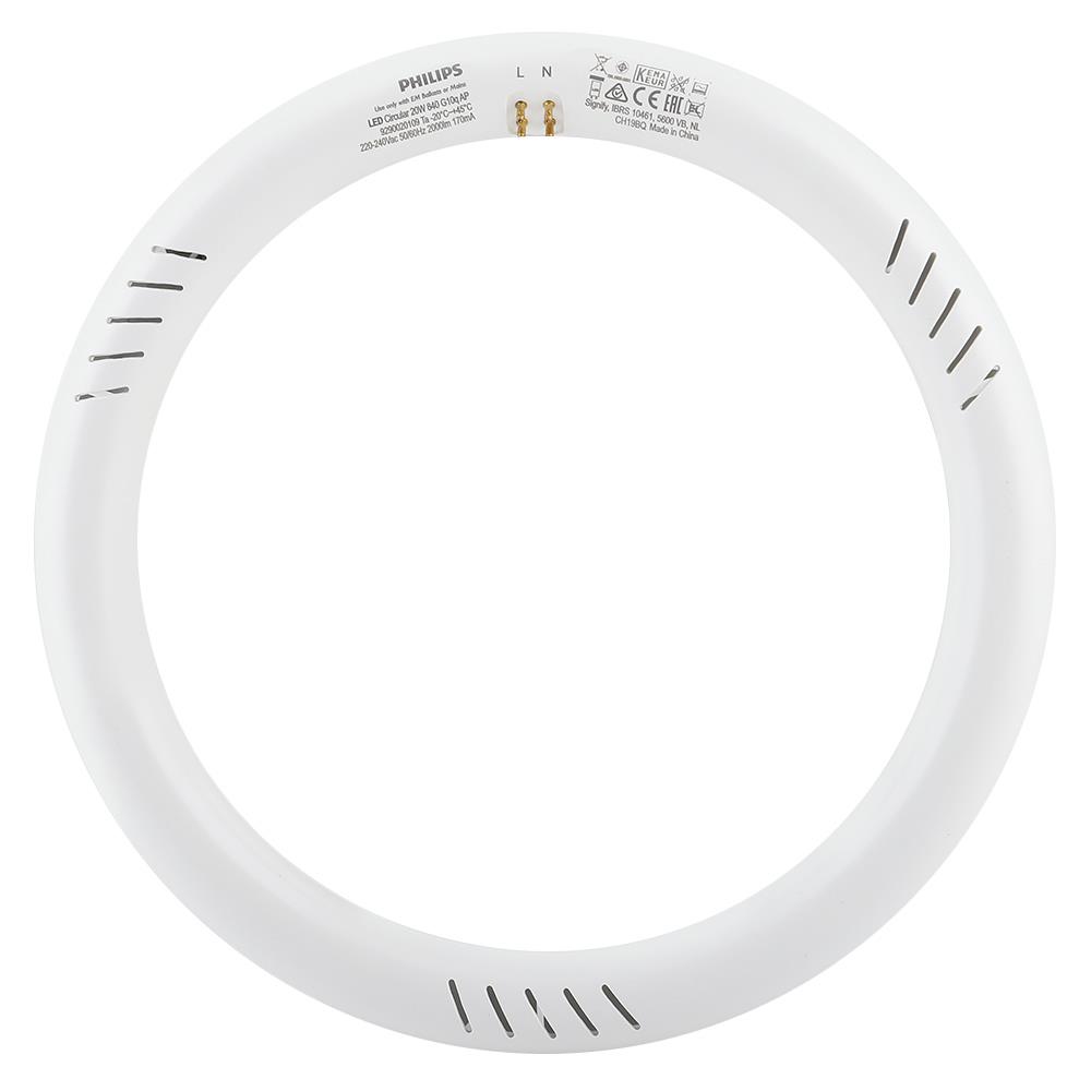 หลอด LED PHILIPS Circular 20 วัตต์ COOLWHITE G10q