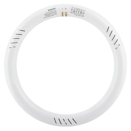 หลอด LED PHILIPS Circular 20 วัตต์ COOLWHITE G10q_2