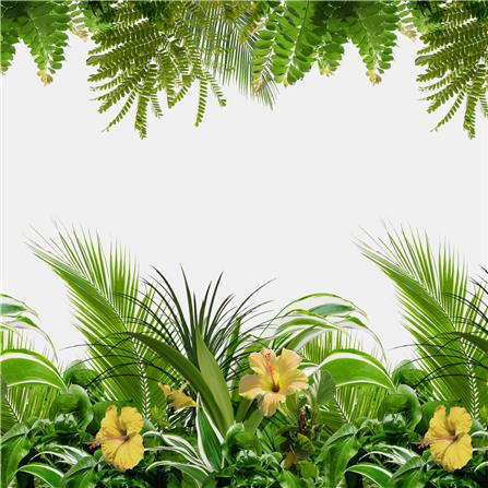 แผ่น PVC สุญญากาศ หน้ากว้าง 90 ซม. MEIWA GARDEN (ตัดขายเป็นเมตร)_0