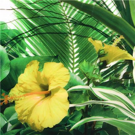 แผ่น PVC สุญญากาศ หน้ากว้าง 90 ซม. MEIWA GARDEN (ตัดขายเป็นเมตร)_1