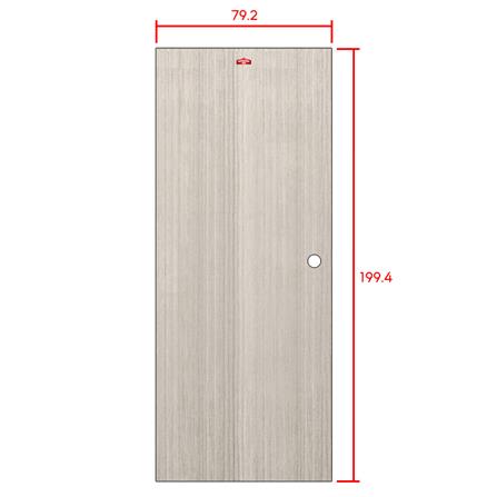 ประตูภายในเหล็ก เจาะลูกบิด D1-41 PROFESSIONAL DOOR 79.2x199.4 ซม. สีเทา_5