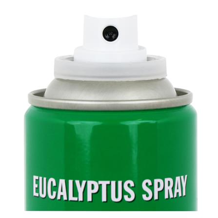 สเปรย์ปรับอากาศ KANGAROO  300ml EUCALYPTUS_2