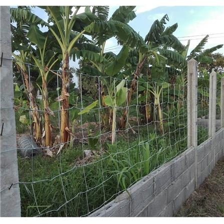 ตาข่ายถักปม เทวดา 8 เส้น 0.90X50 ม._4