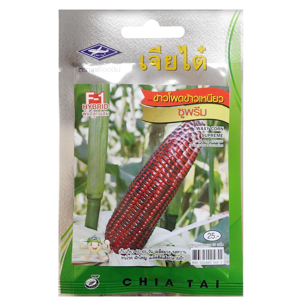 เมล็ดพันธุ์ข้าวโพดข้าวเหนียว ตราเจียไต๋