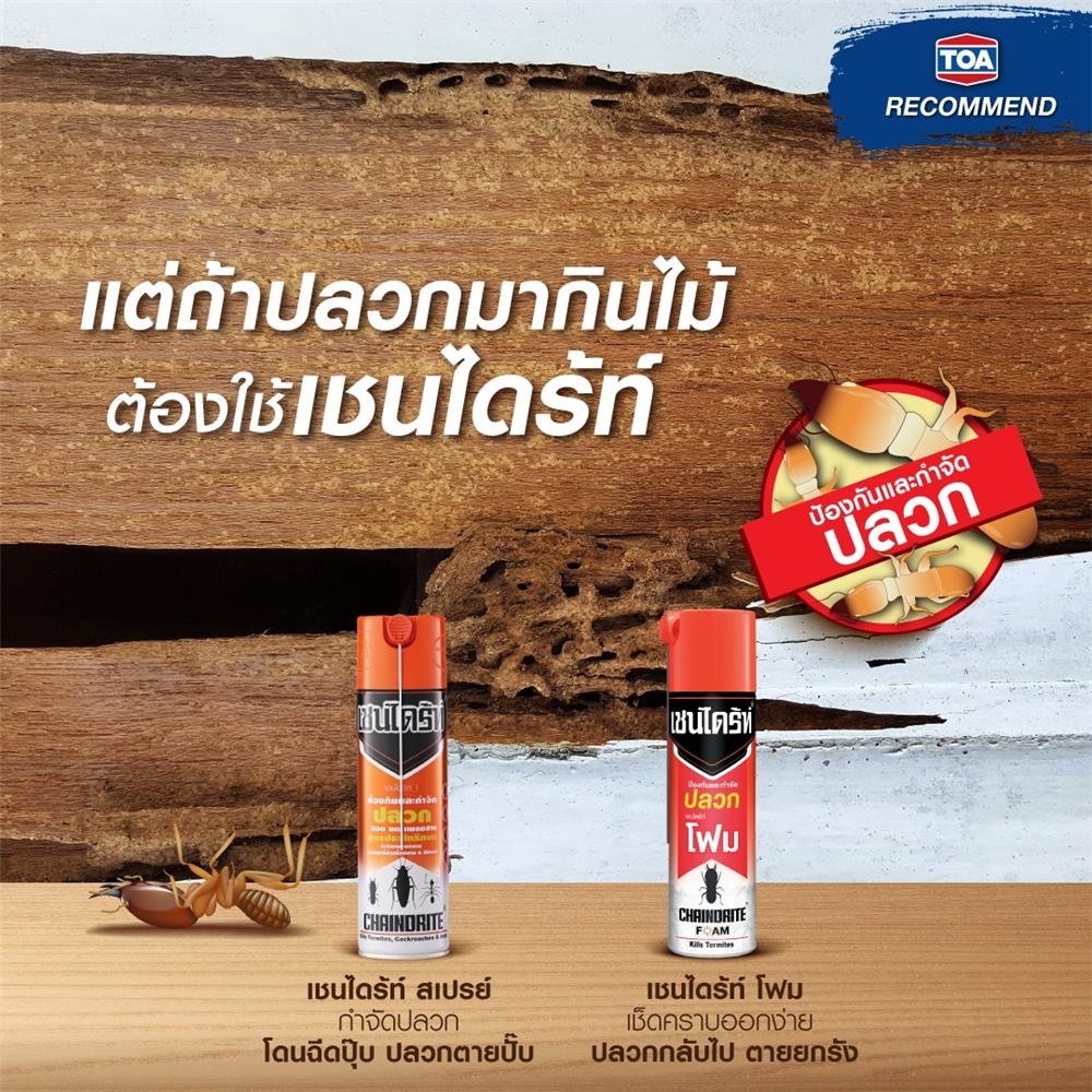 โฟมกำจัดปลวก CHAINDRITE 250 มล.
