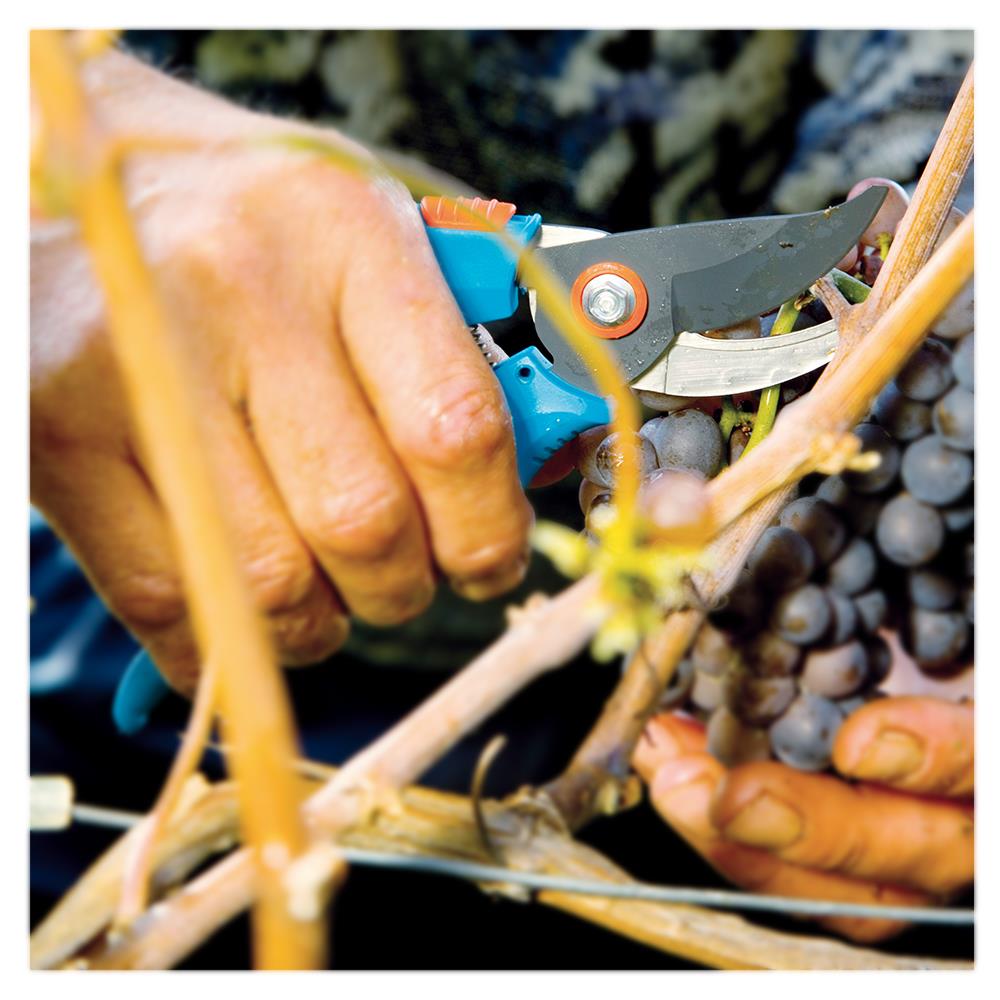 กรรไกรแต่งกิ่ง ปากโค้ง GARDENA 08754-30