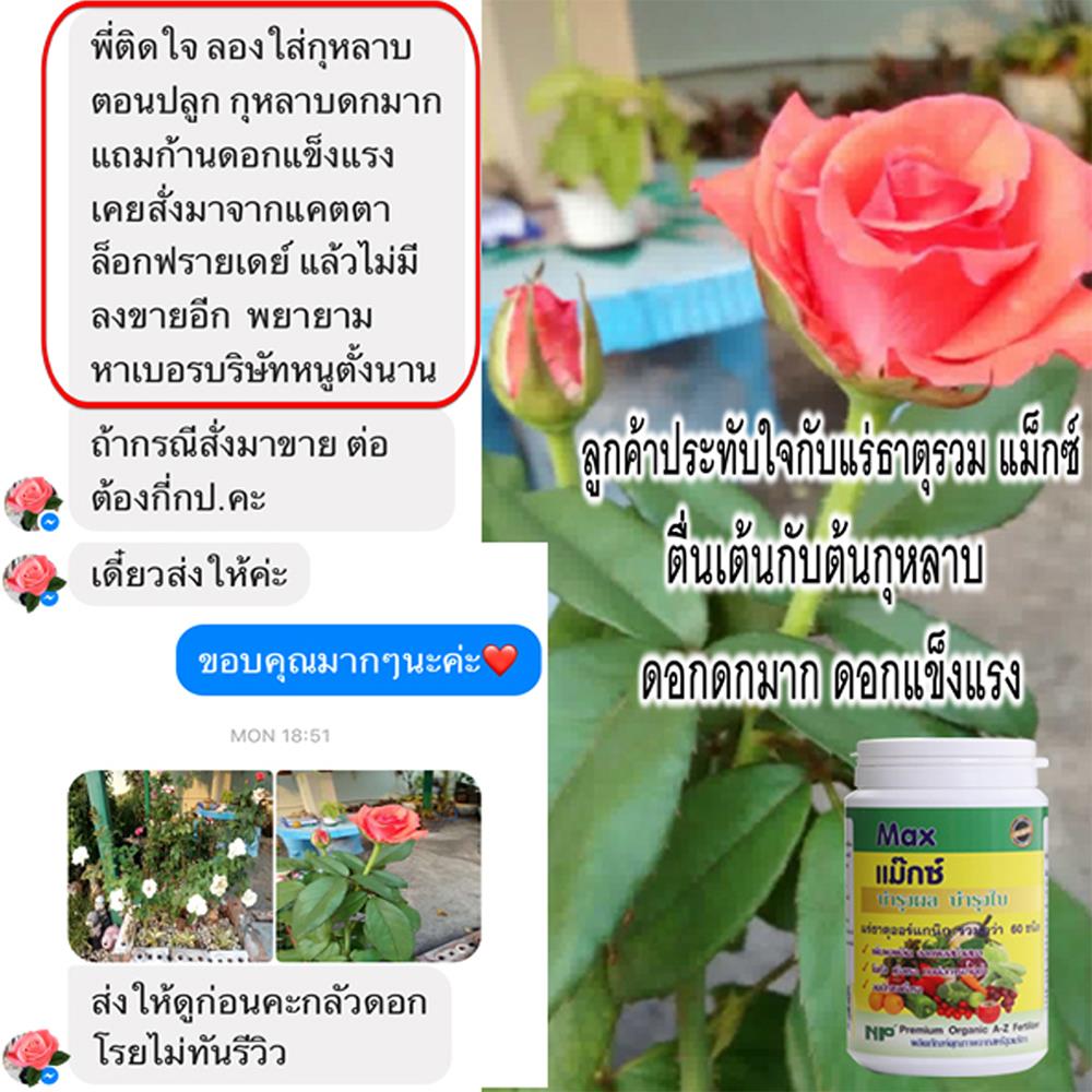 อาหารเสริมพืช NP 500G