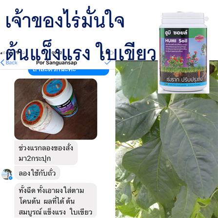 อาหารพืช สารปรับปรุงดิน NP 500G_2