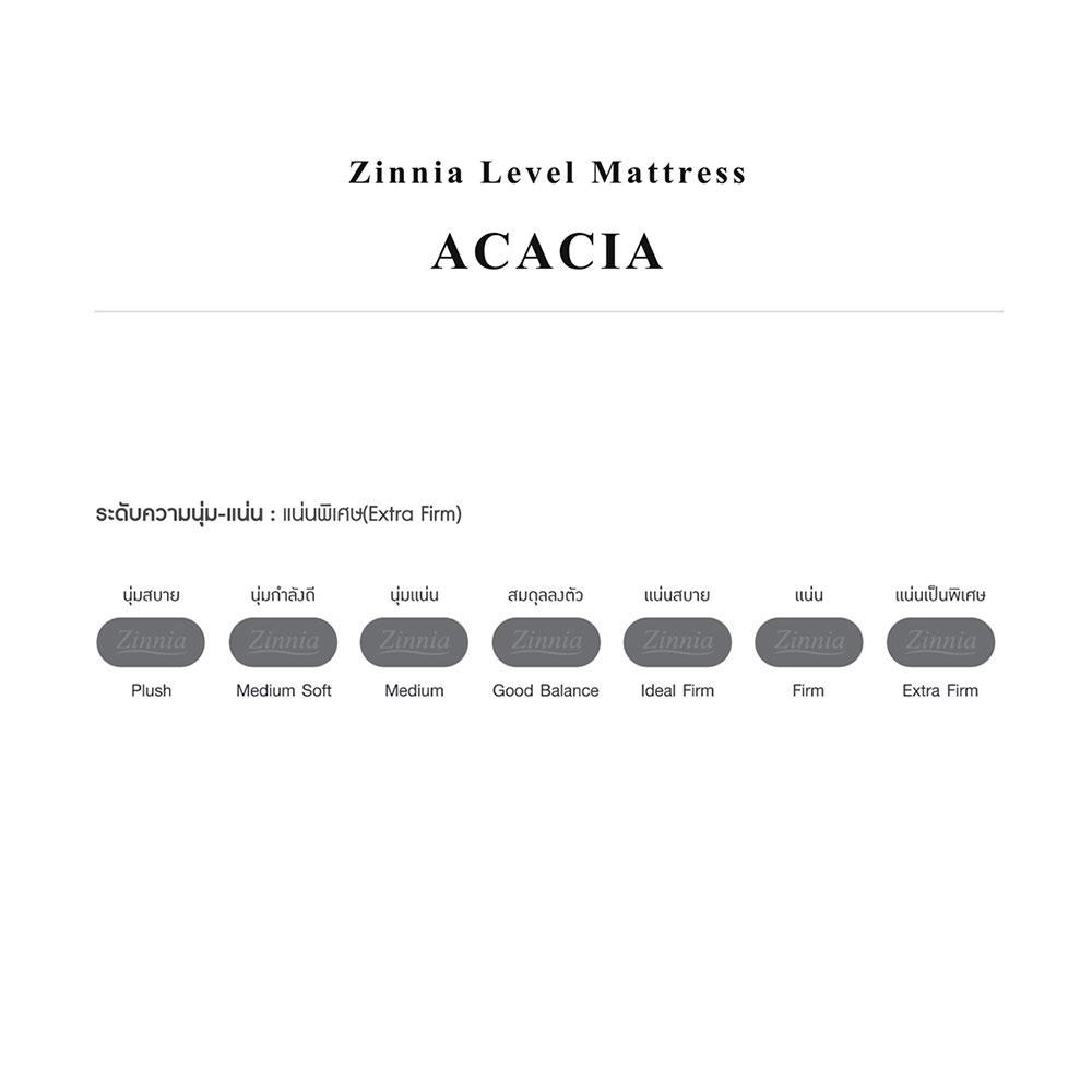 ที่นอน 6 ฟุต ZINNIA ACACIA