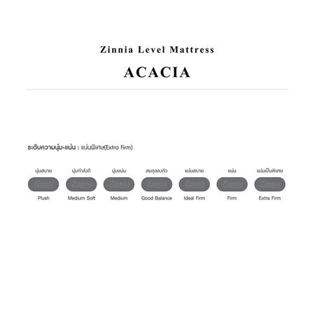 ที่นอน 6 ฟุต ZINNIA ACACIA_1