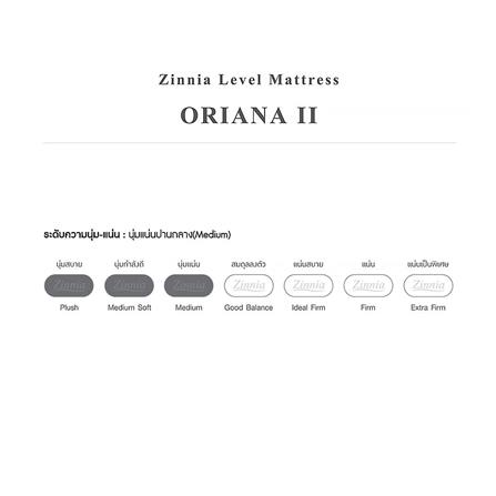 ที่นอน 5 ฟุต ZINNIA ORIANA II_1