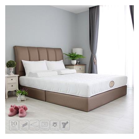 ที่นอน 5 ฟุต ZINNIA ACACIA_4