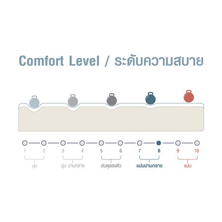 ที่นอน 3.5 ฟุต SERA GRANDE GRAND_4