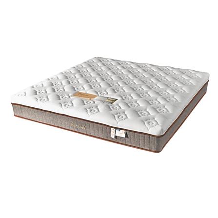 ที่นอน 5 ฟุต SERA GRANDE GRAND_1