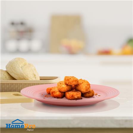 จานเซรามิกตื้น 9.5