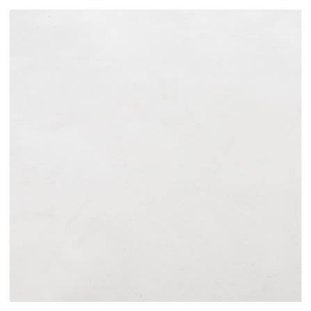 พลาสติกคลุมเห็ด SAFARI 0.04 มม. 2.5 กก. สีใส_2