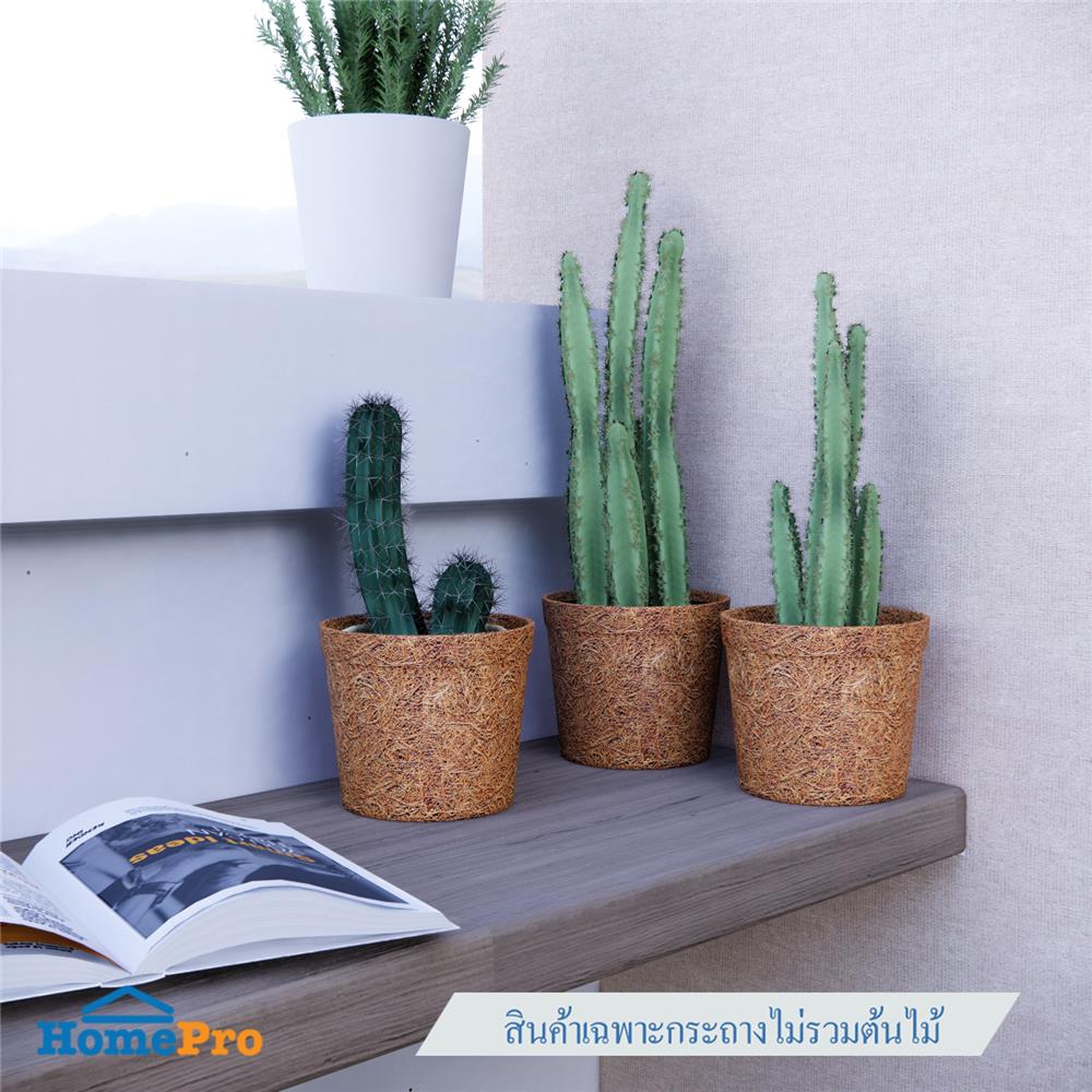 กระถางใยมะพร้าว SPRING 4 นิ้ว สีน้ำตาล