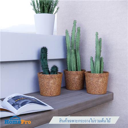 กระถางใยมะพร้าว SPRING 4 นิ้ว สีน้ำตาล_4