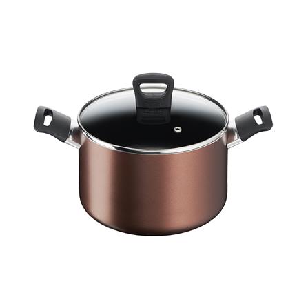 หม้อต้ม 22 ซม. TEFAL DAY BY DAY