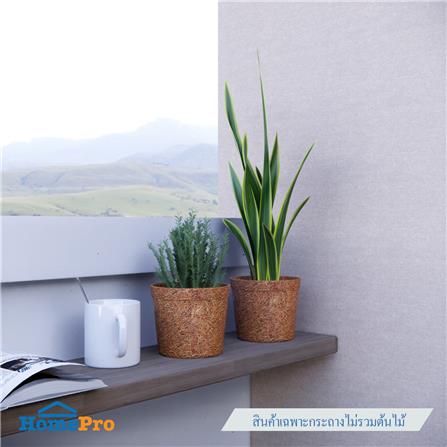 กระถางใยมะพร้าว SPRING 5.5 นิ้ว สีน้ำตาล_4