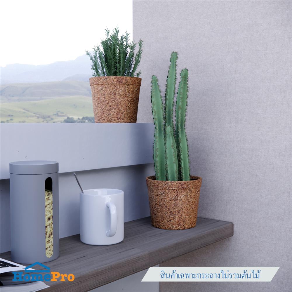 กระถางใยมะพร้าว SPRING 4.5 นิ้ว สีน้ำตาล