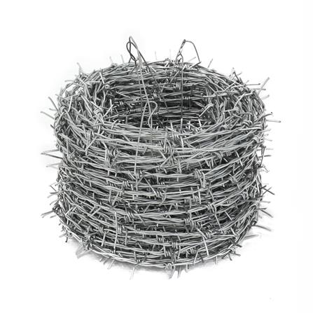 cate-Barbed Wires