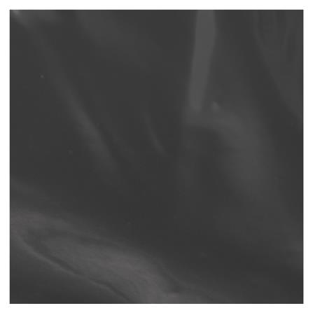 พลาสติกคลุมเห็ด SPRING 10 กก. 0.1 มม. 2X36 ม. สีดำ_2