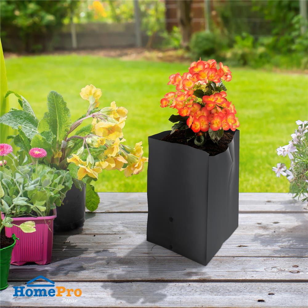 ถุงเพาะชำ SPRING 3x7 นิ้ว 1 กก. สีดำ