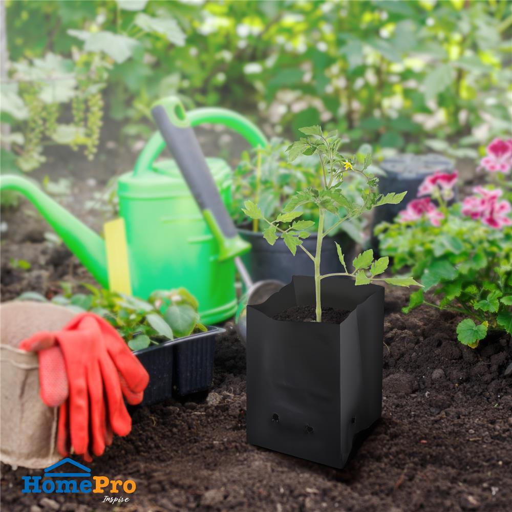 ถุงเพาะชำ SPRING 4x8 นิ้ว 1 กก. สีดำ