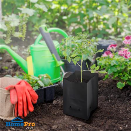 ถุงเพาะชำ SPRING 4x8 นิ้ว 1 กก. สีดำ_3