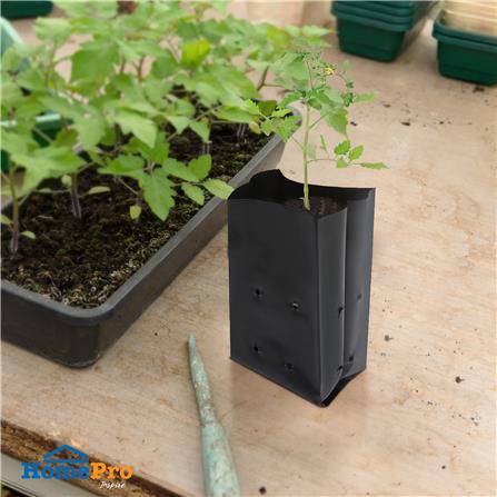 ถุงเพาะชำ SPRING 4x10 นิ้ว 1 กก. สีดำ_3