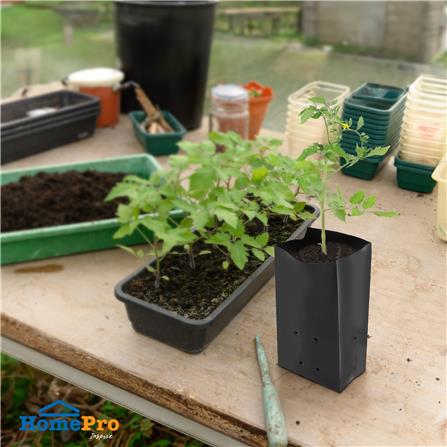 ถุงเพาะชำ SPRING 5x12 นิ้ว 1 กก. สีดำ_4