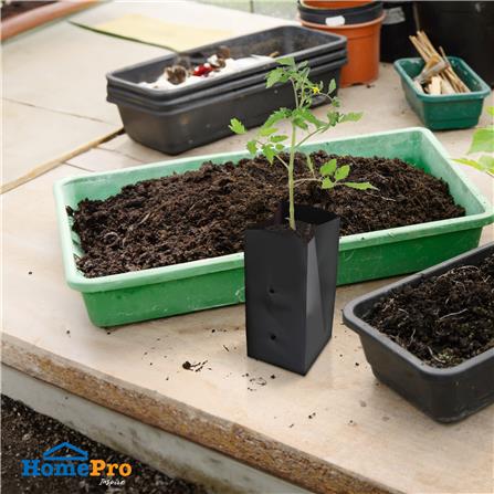 ถุงเพาะชำ SPRING 3x8 นิ้ว 1 กก. สีดำ_3