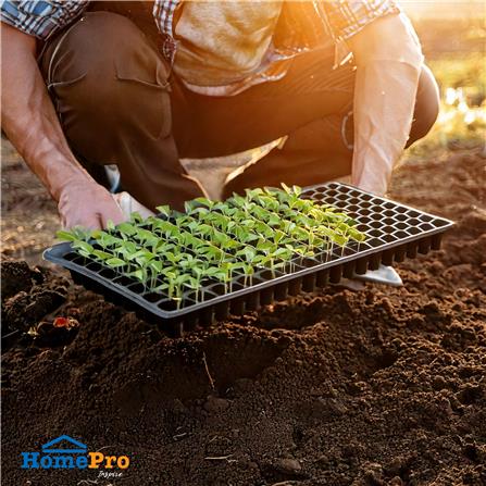 ถาดเพาะชำ SPRING 200 หลุม สีดำ_3