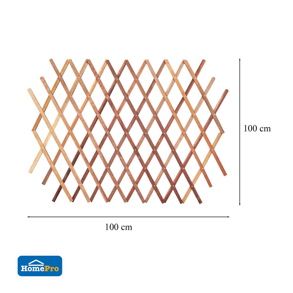 รั้วไม้บานพับ ME LIVING GARTENE 100x100 ซม. สีธรรมชาติ