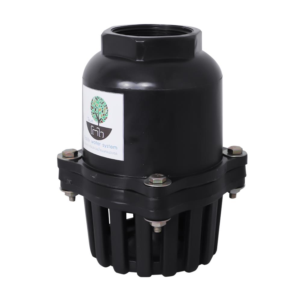 ฟุตวาล์วเกลียวใน TOWAI ลิ้นสปริง 2 นิ้ว