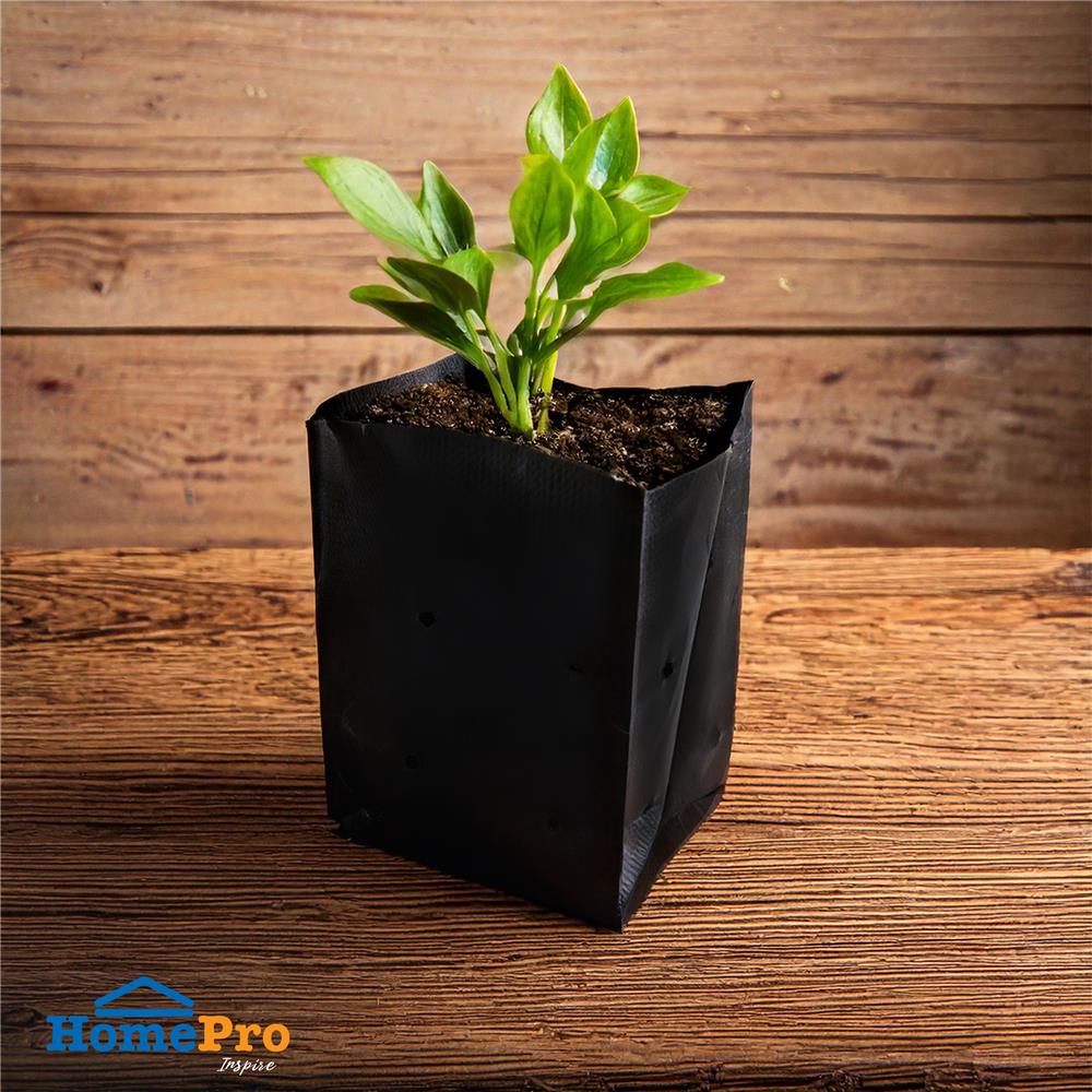 ถุงเพาะชำ SPRING 5x10 นิ้ว 1 กก. สีดำ